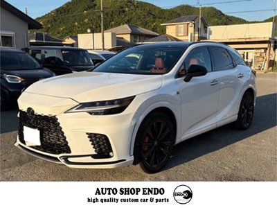 LEXUS RX - 1
