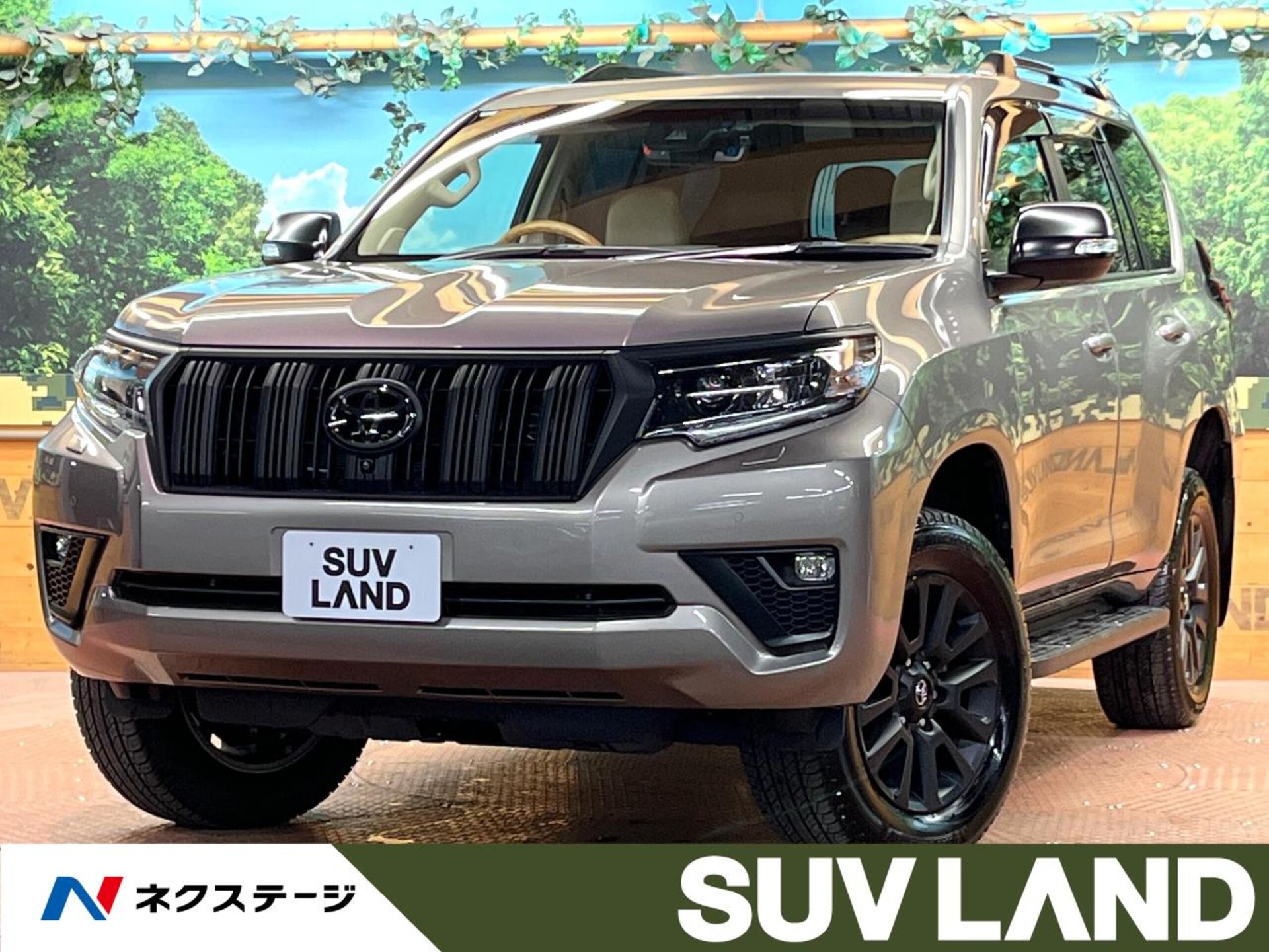 TOYOTA LAND CRUISER PRADO - View 1