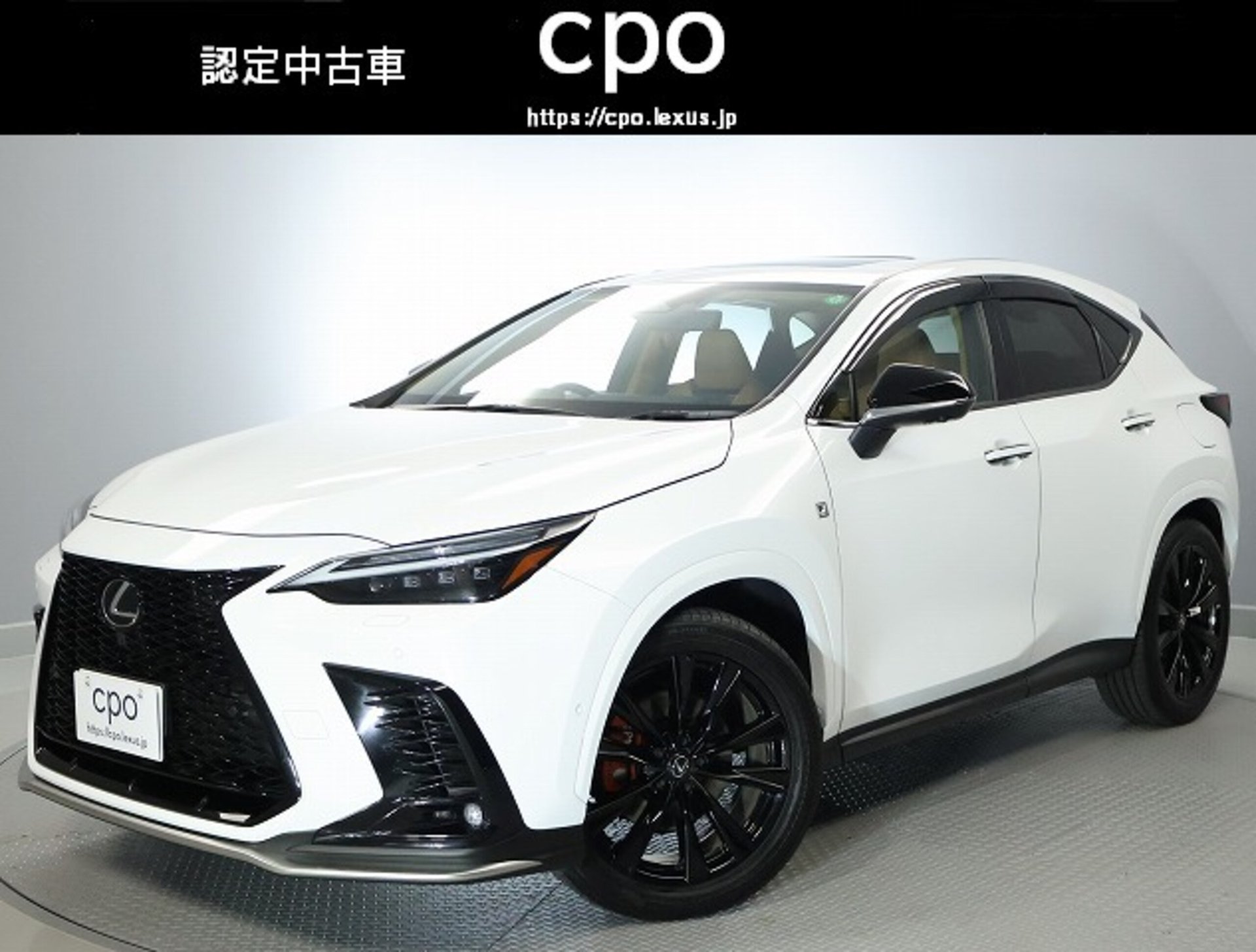 LEXUS NX - View 1