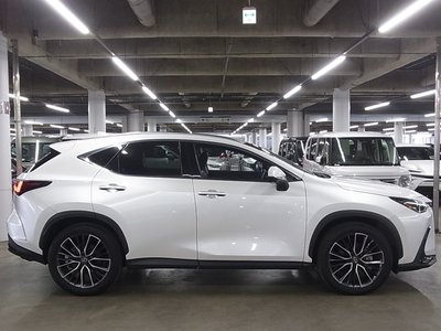 2023 Lexus NX — миниатюра 12