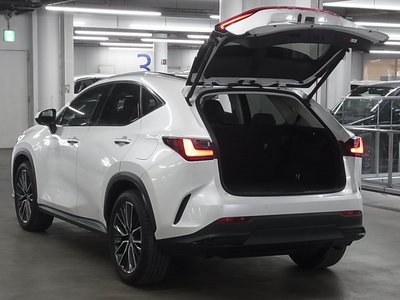 2023 Lexus NX — миниатюра 23