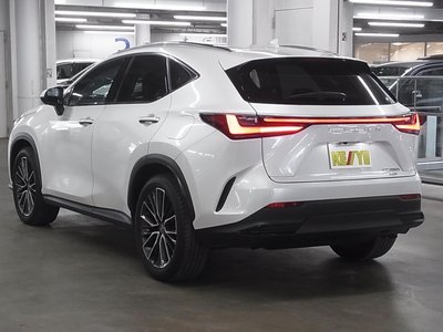 2023 Lexus NX — миниатюра 11