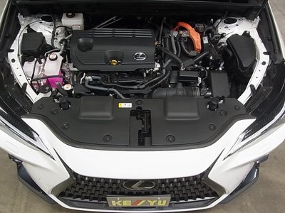 2023 Lexus NX — миниатюра 55
