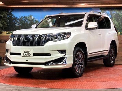 2023 Toyota LAND CRUISER PRADO 缩略图 28