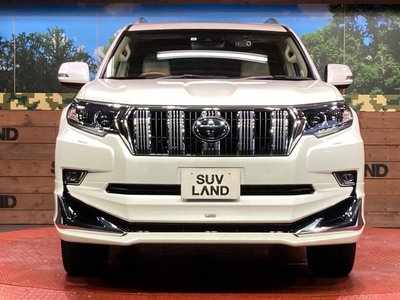 2023 Toyota LAND CRUISER PRADO 缩略图 14