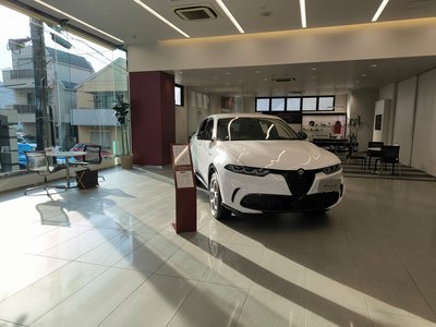 2023 ALFA Romeo STELVIO thumbnail 60