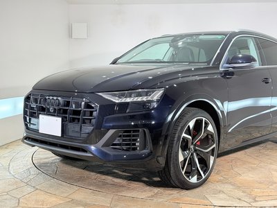 2019 AUDI Q8 — миниатюра 64
