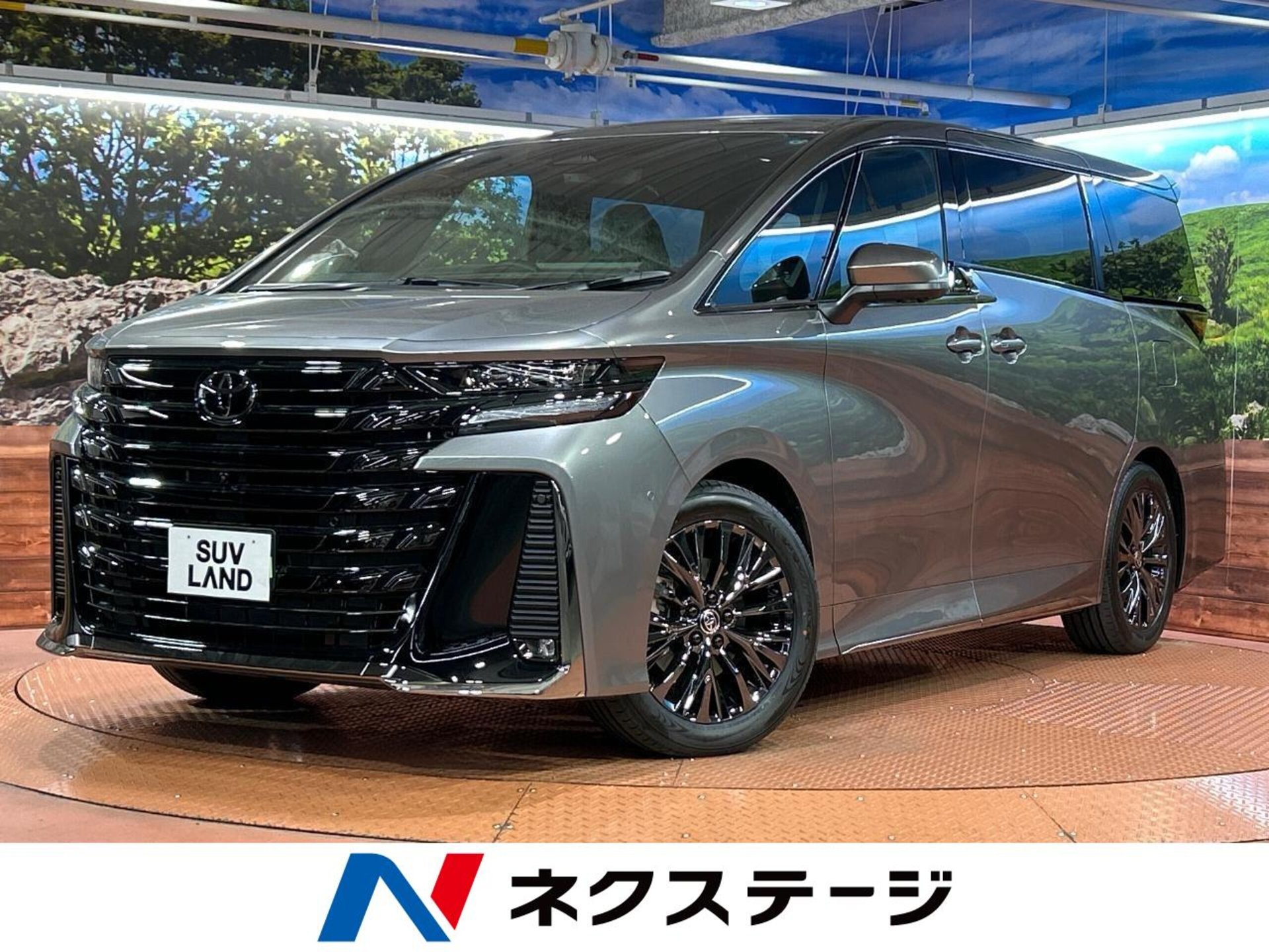TOYOTA VELLFIRE - View 1