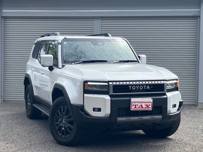 TOYOTA LAND CRUISER 250 - 10