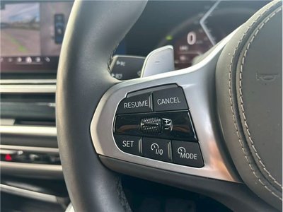 2024 BMW X6 thumbnail 19