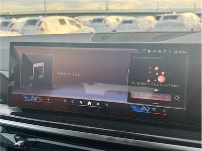 2024 BMW X6 thumbnail 21