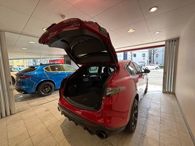 2023 ALFA Romeo STELVIO 缩略图 48