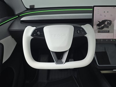 2025 Tesla MODEL Y 缩略图 19