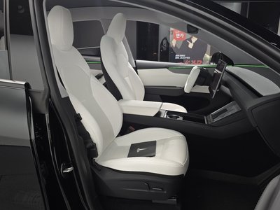 2025 Tesla MODEL Y 缩略图 17