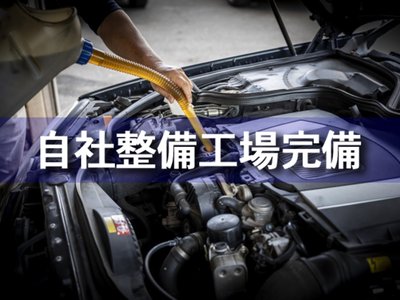 2024 Toyota VELLFIRE 缩略图 51