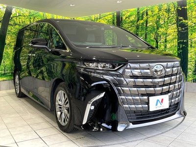 2024 TOYOTA ALPHARD 缩略图 17