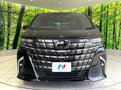 2024 TOYOTA ALPHARD 缩略图 15
