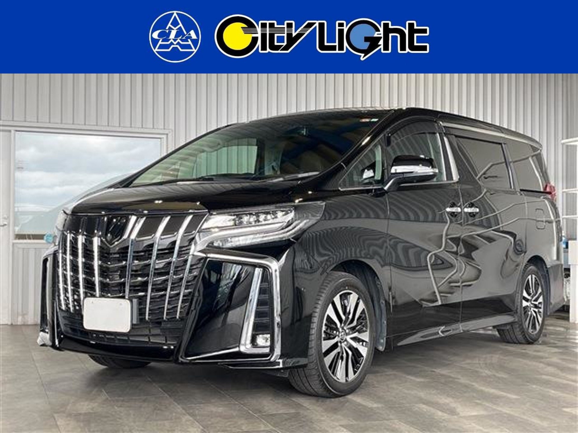TOYOTA ALPHARD - View 1