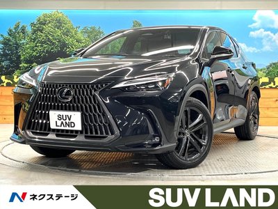 LEXUS NX - 1