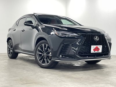 2023 Lexus NX thumbnail 31