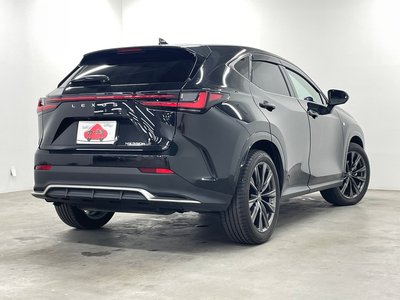 2023 Lexus NX photo 5