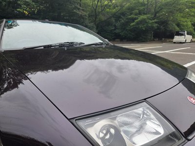 1999 Nissan FAIRLADY Z 缩略图 18