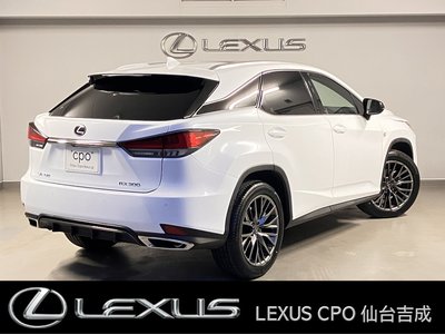 LEXUS RX - 10