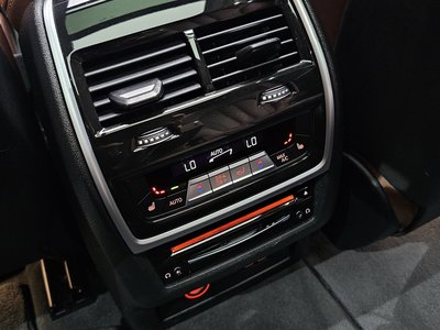 2021 BMW X7 — миниатюра 20