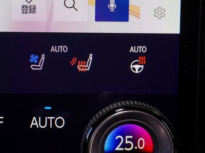 2024 Lexus RZ 缩略图 19
