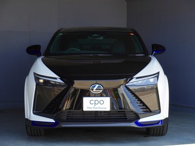 2024 Lexus RZ 照片 5