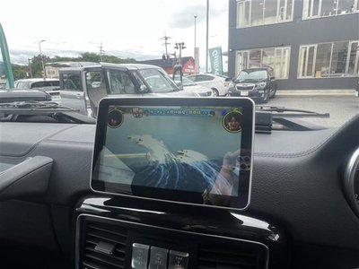 2015 Mercedes-BENZ G-CLASS 缩略图 21