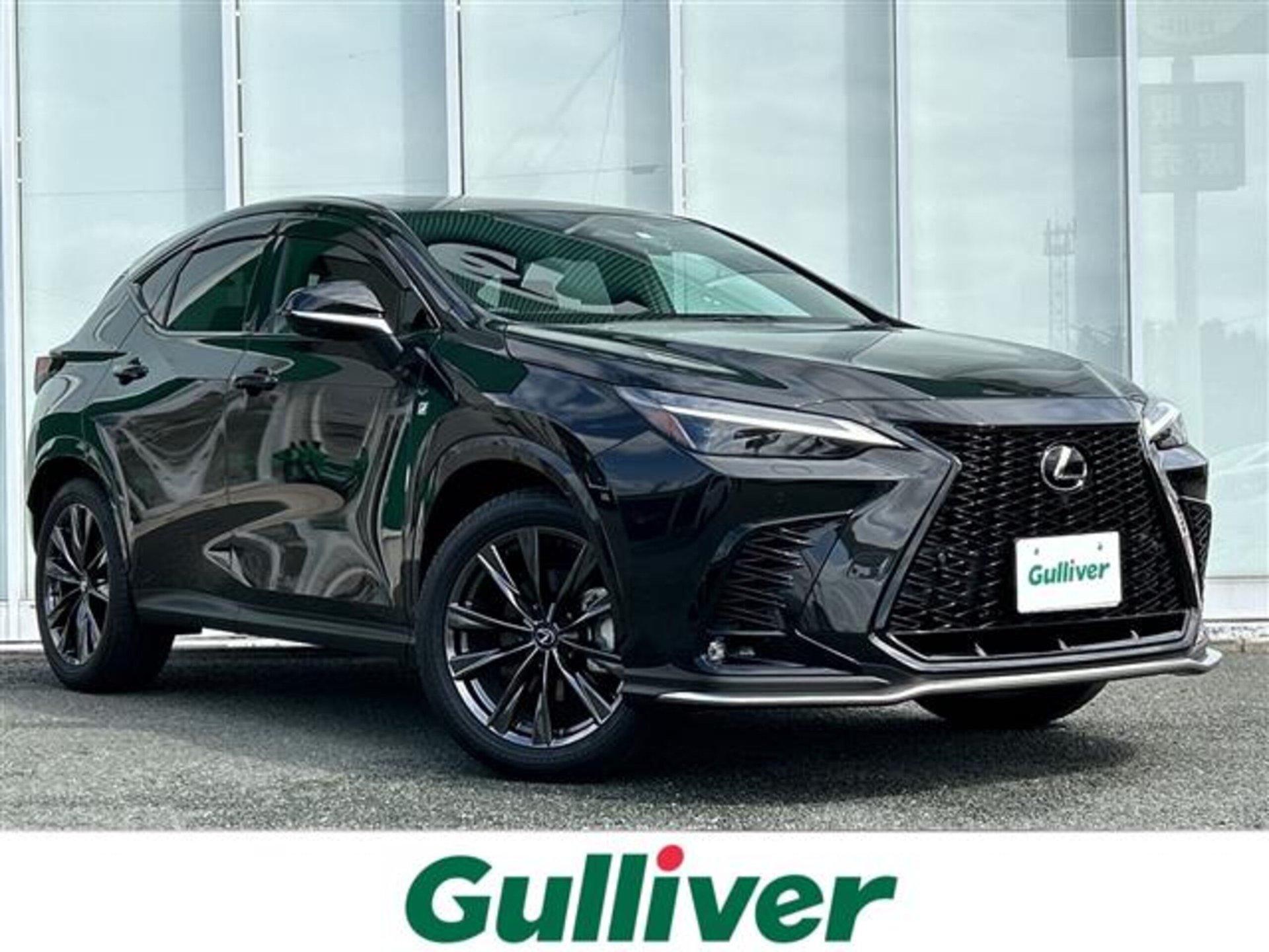 LEXUS NX - View 1