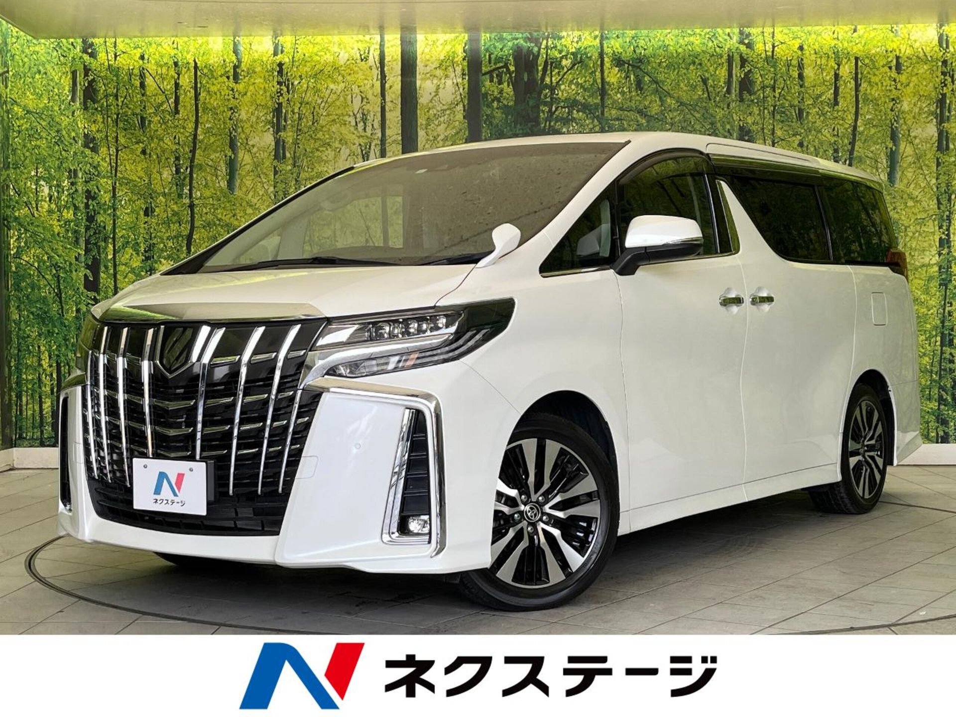TOYOTA ALPHARD - View 1