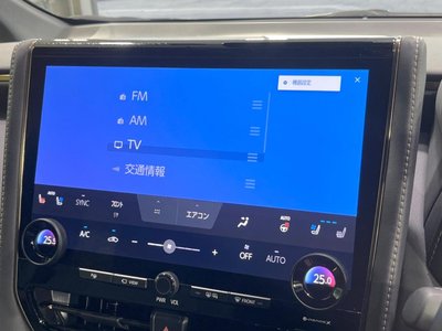 2023 Toyota ALPHARD — миниатюра 37