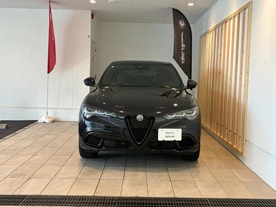 2025 ALFA Romeo STELVIO 照片 2