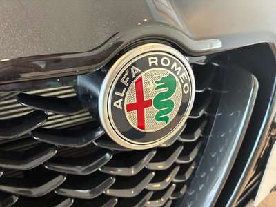 2025 ALFA Romeo STELVIO 照片 9