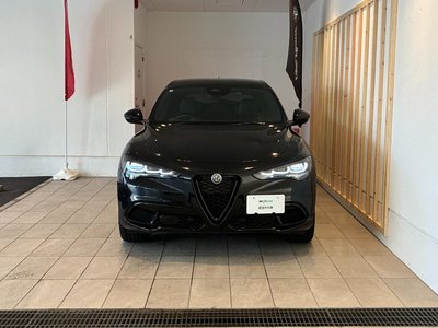 2025 ALFA Romeo STELVIO 照片 3