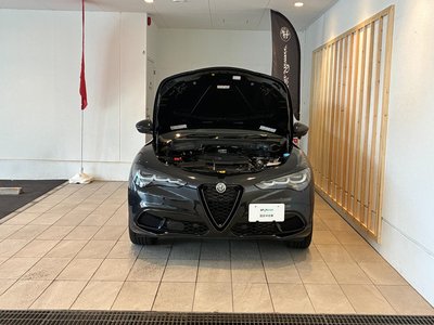 2025 ALFA Romeo STELVIO 照片 5