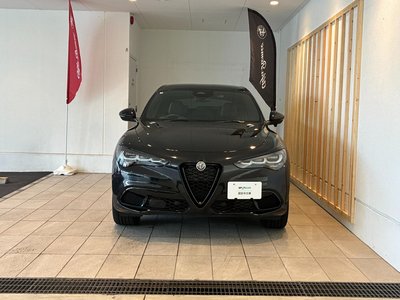 2025 ALFA Romeo STELVIO 照片 4