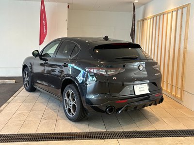 2025 ALFA Romeo STELVIO 照片 16