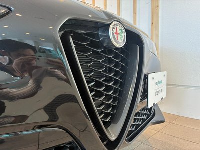2025 ALFA Romeo STELVIO 照片 10