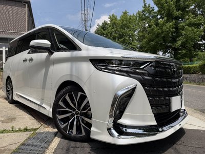 2025 TOYOTA ALPHARD 照片 10