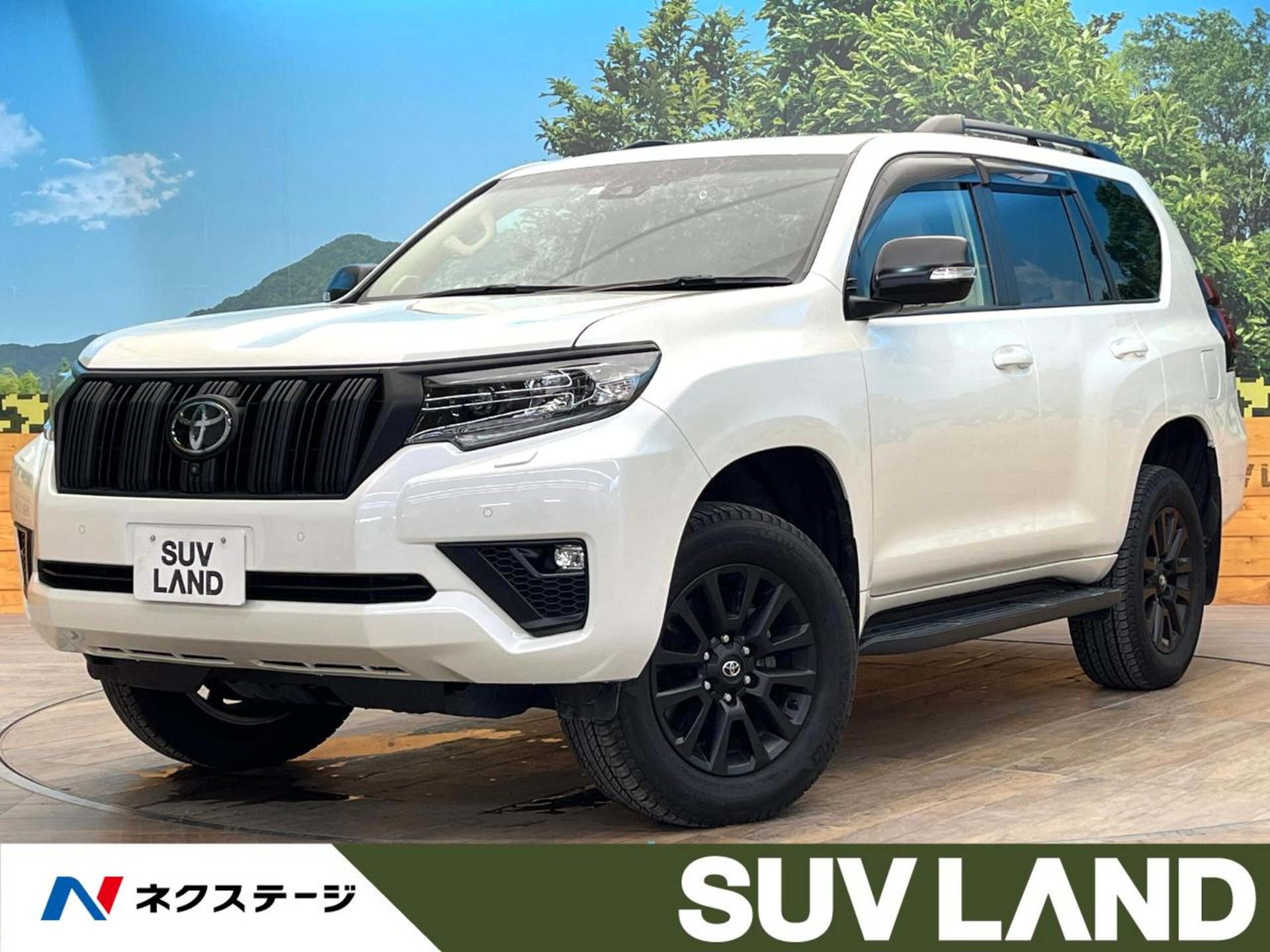 TOYOTA LAND CRUISER PRADO - View 1