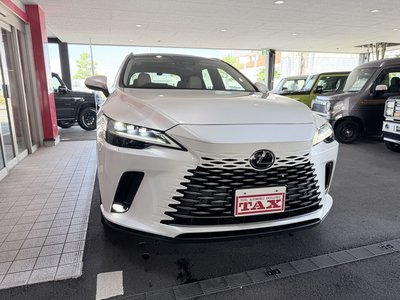 2024 Lexus RX 缩略图 35