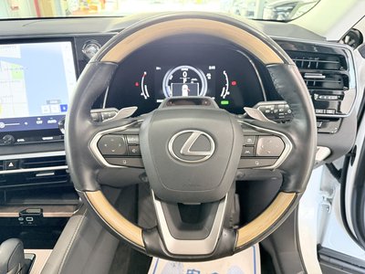 2024 Lexus RX 缩略图 21