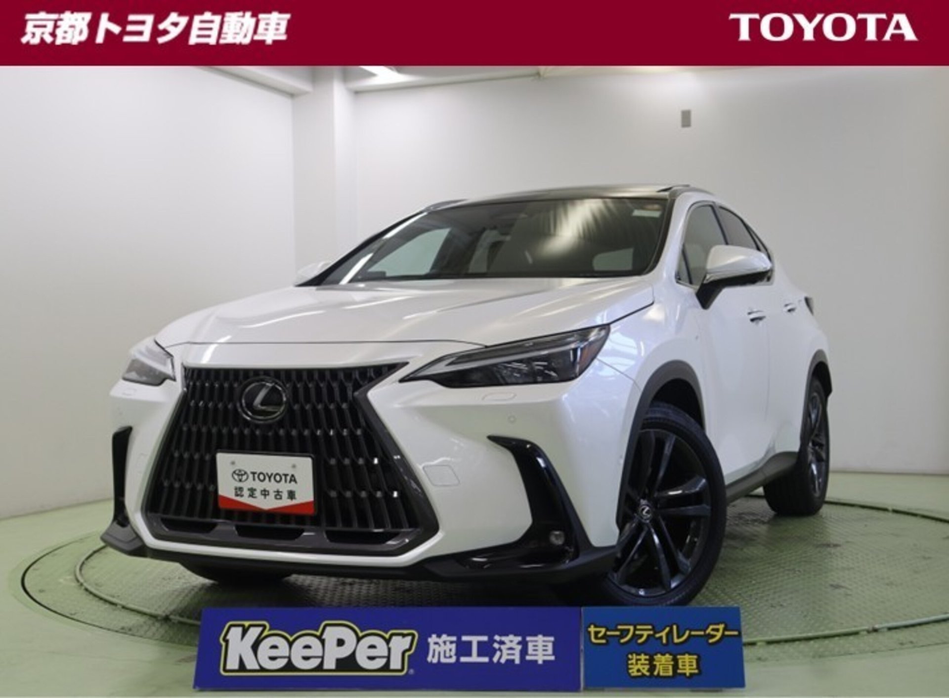LEXUS NX - View 1