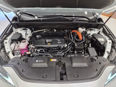 LEXUS NX - 6