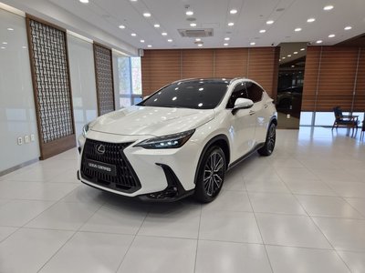 LEXUS NX - 1