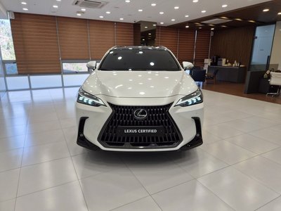 LEXUS NX - 2