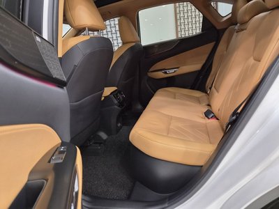 2024 Lexus NX 缩略图 14